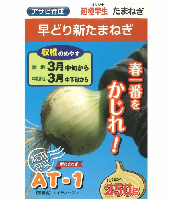 アサヒ育成 大粒 めぐろ王（枝豆の種）|固定種 在来種に強い 野菜の