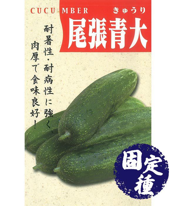 相模半白胡瓜（キュウリの種）【固定種】|固定種 在来種に強い 野菜の