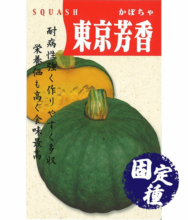 東京芳香栗かぼちゃ（南瓜の種）【固定種】