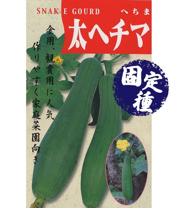 太へちま（へちまの種）【固定種】|固定種 在来種に強い 野菜のタネ