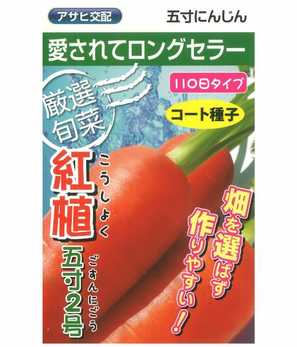 アサヒ交配 紅植五寸2号人参（にんじんの種）（コート種子）|固定種