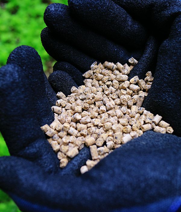 トマトの肥料 200g|固定種 在来種に強い 野菜のタネ専門通販サイト