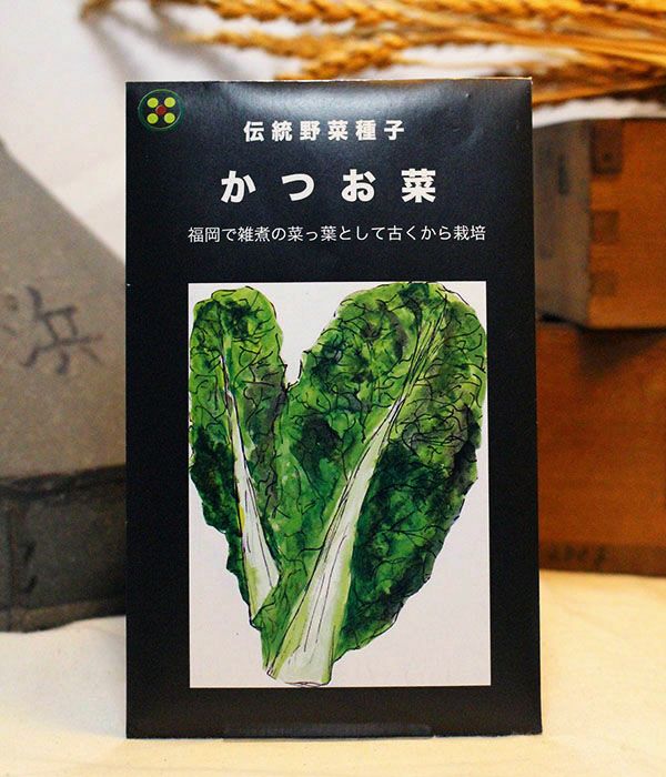 国内産・無消毒】伝統野菜種子シリーズ|固定種 在来種に強い 野菜の