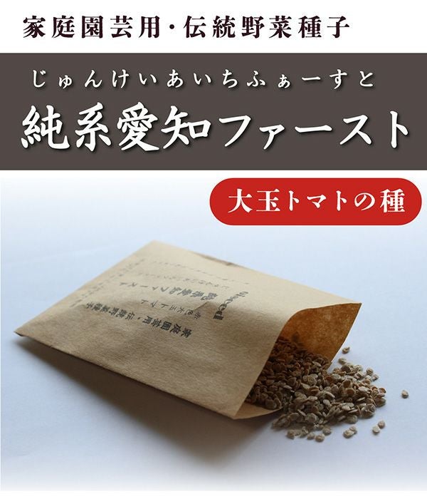 鶴頸種苗 純系愛知ファースト(トマトの種)【国内産・無消毒種子】