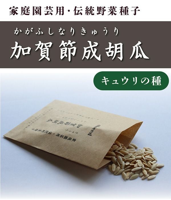 種子籾お譲りします 令和7年岐阜県産「みのにしき」 種籾 - のうけん☆ONLINE SHOP☆