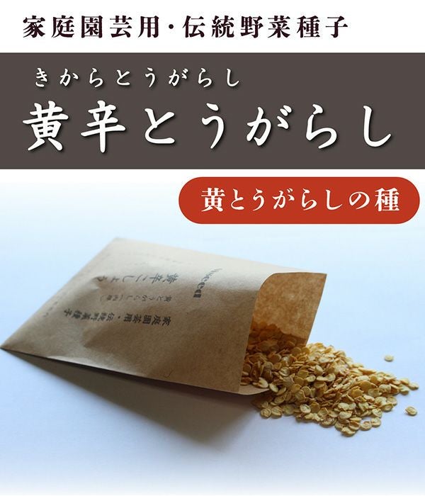 鶴頸種苗 大獅子ピーマン（ピーマンの種）|固定種 在来種に強い 野菜の