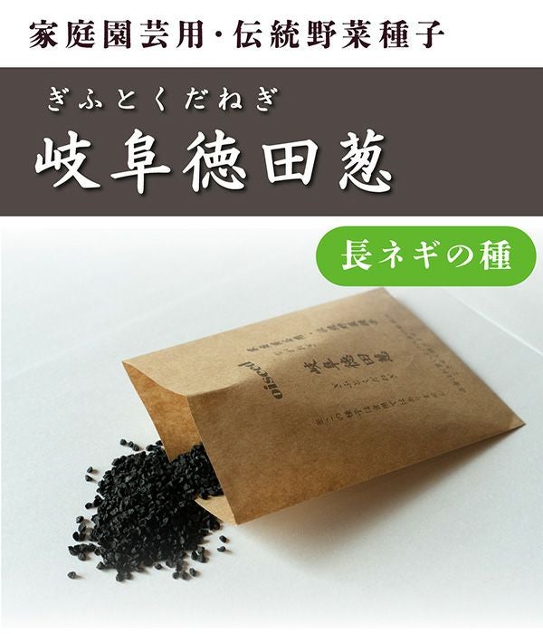 鶴頸種苗 岐阜徳田葱（ネギの種）【国内産・無消毒種子】|固定種 在来