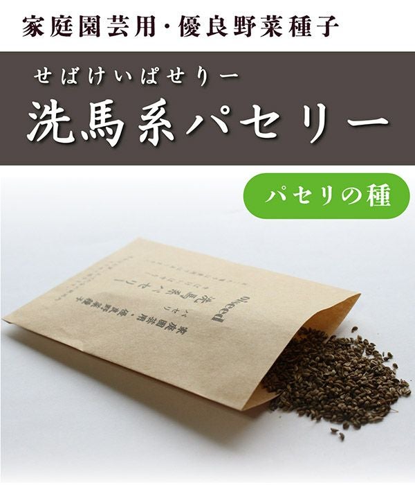 鶴頸種苗のタネ（伝統野菜・固定種の種）|固定種 在来種に強い 野菜の