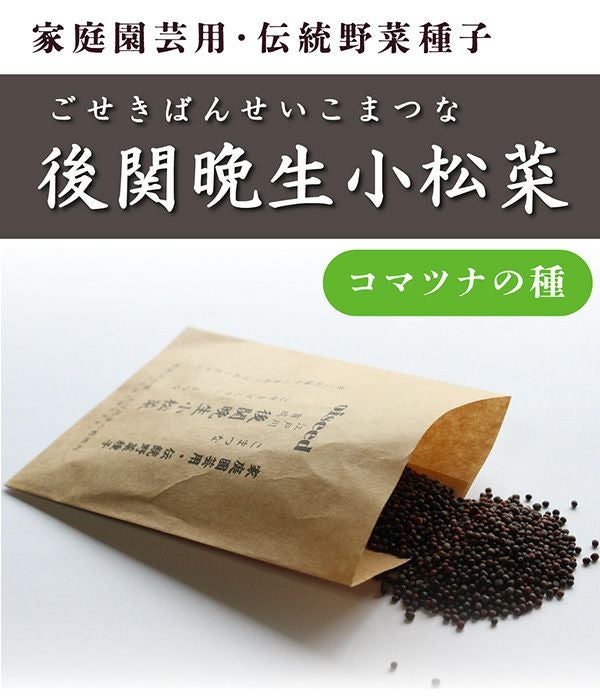 鶴頸種苗のタネ（伝統野菜・固定種の種）|固定種 在来種に強い 野菜の