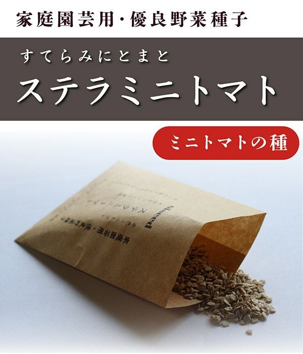 鶴頸種苗 ステラミニトマト（ミニトマトの種）|固定種 在来種に強い