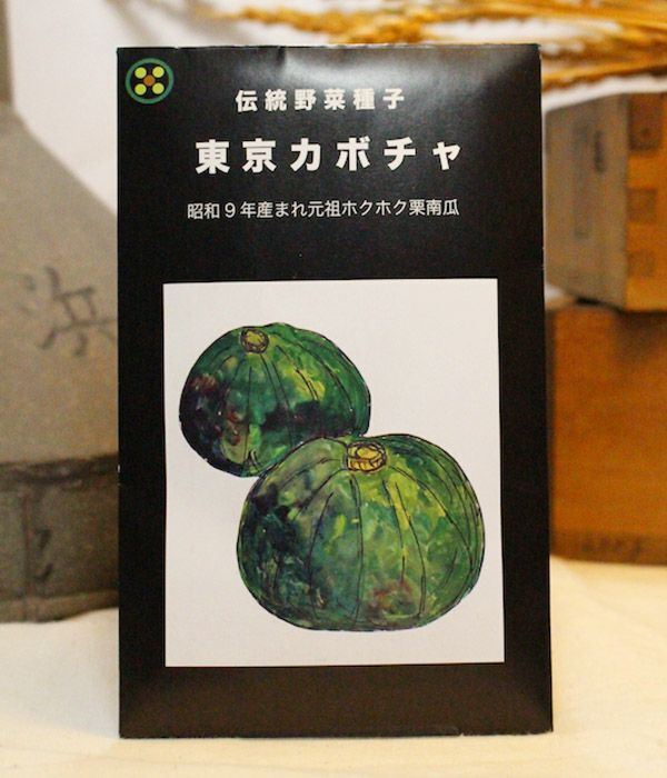 国内産・無消毒】伝統野菜種子シリーズ|固定種 在来種に強い 野菜の