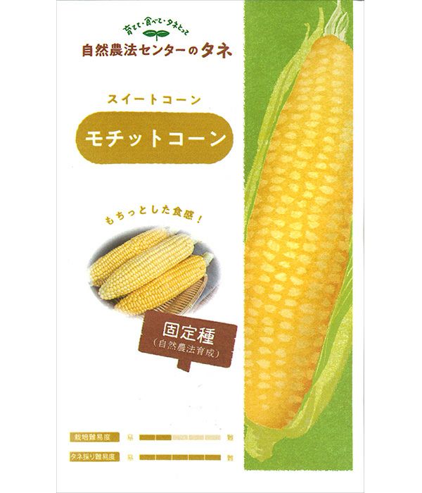 有機種子 モチットコーン（トウモロコシの種）【国内産・無消毒種子