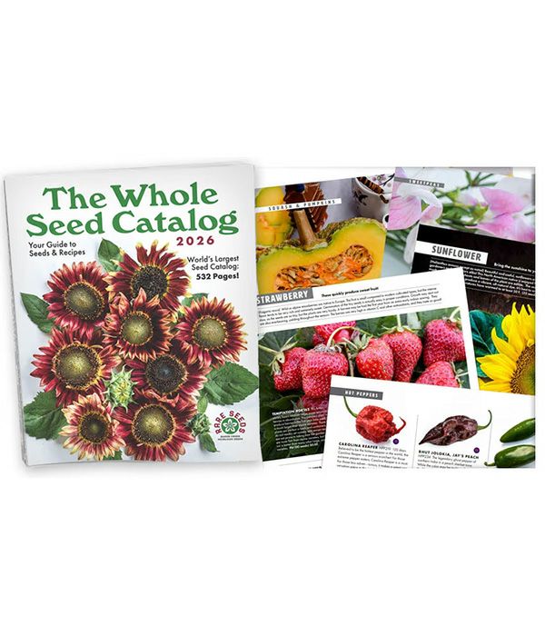 The Whole Seed Catalog 2026』 -Baker Creek Heirloom Seeds｜公式