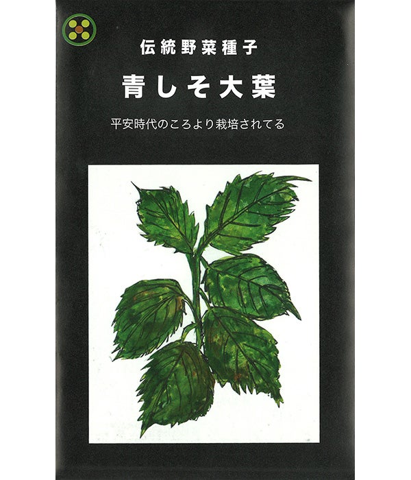 伝統野菜 青しそ大葉（シソの種）【国内産・無消毒種子】|固定種 在来